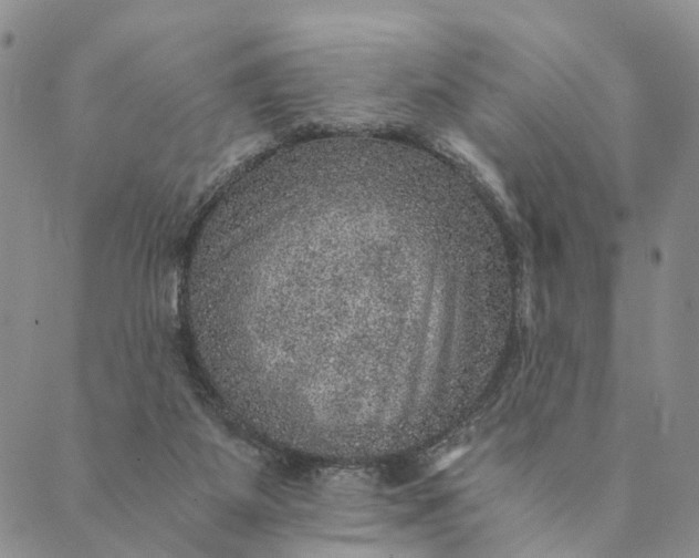 X0000089970115200707131432