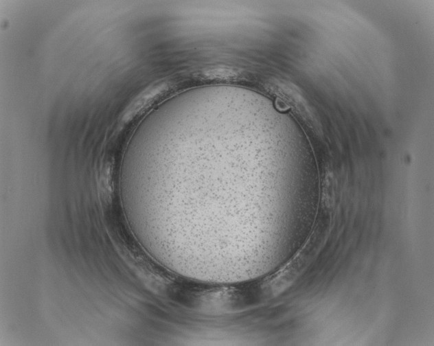 X0000089970116200707131432