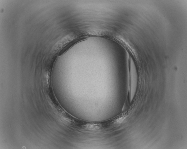 X0000089970117200707131432