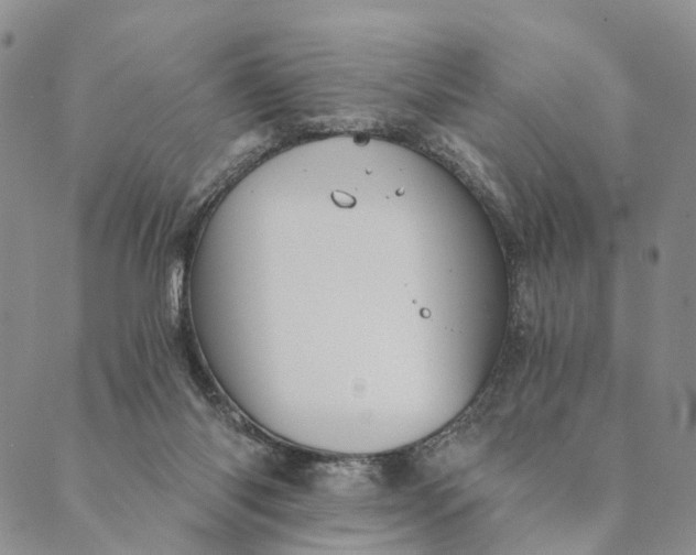 X0000089970118200707131432