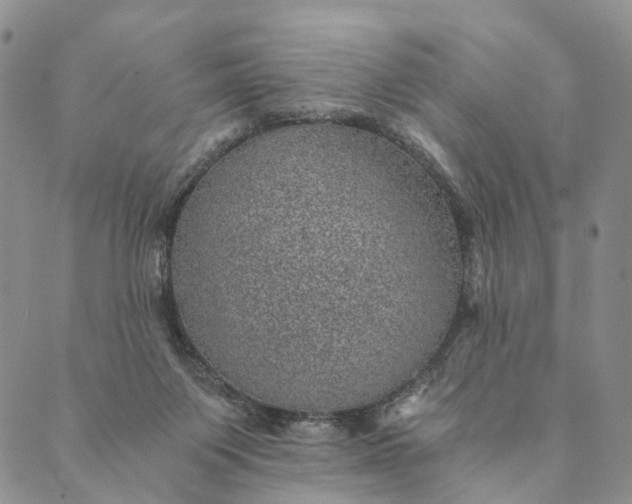 X0000089970119200707131432