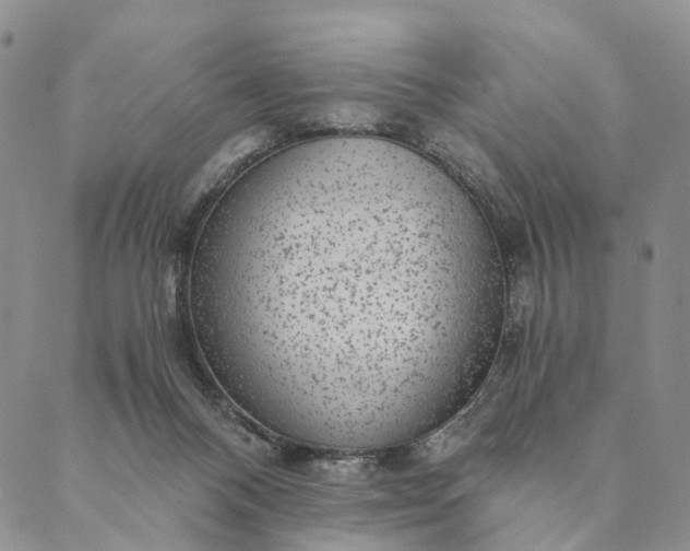 X0000089970120200707131432