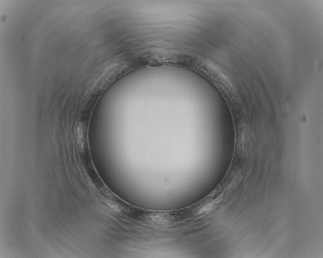 X0000089970121200707131432