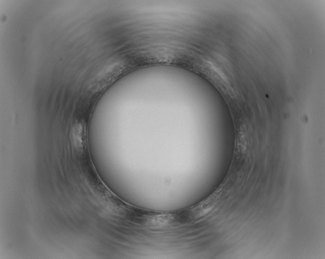 X0000089970122200707131432