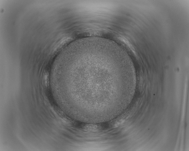 X0000089970123200707131432