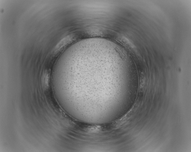 X0000089970124200707131432