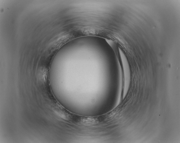 X0000089970125200707131432