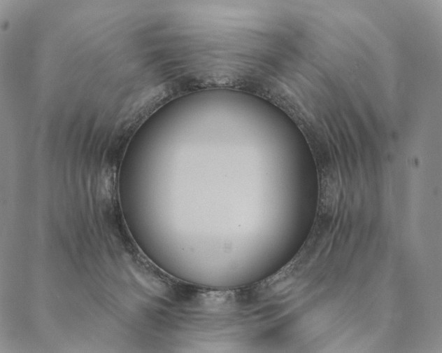 X0000089970126200707131432