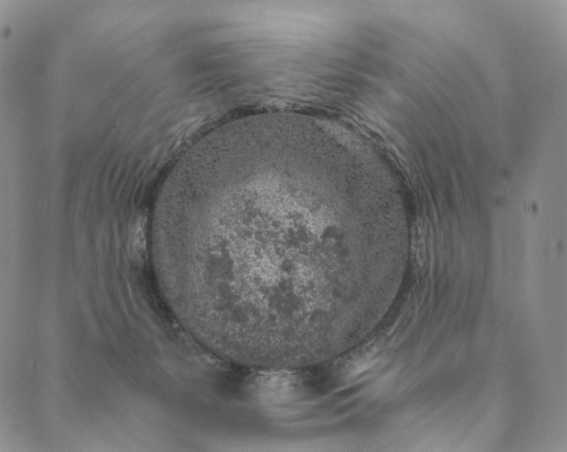 X0000089970127200707131432