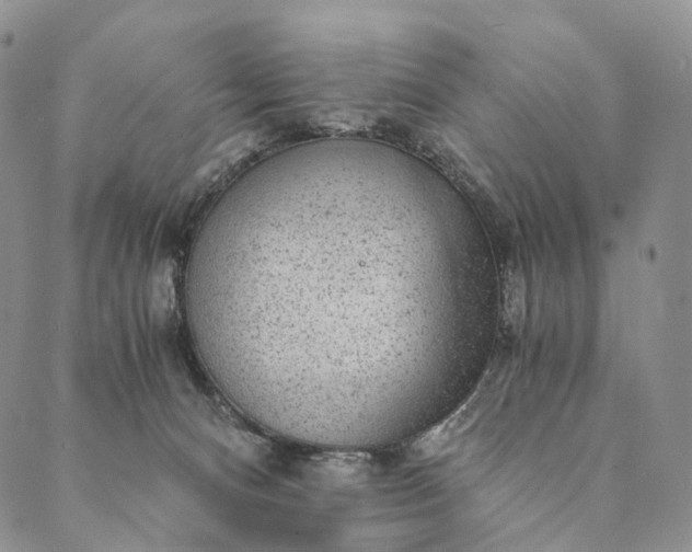 X0000089970128200707131432