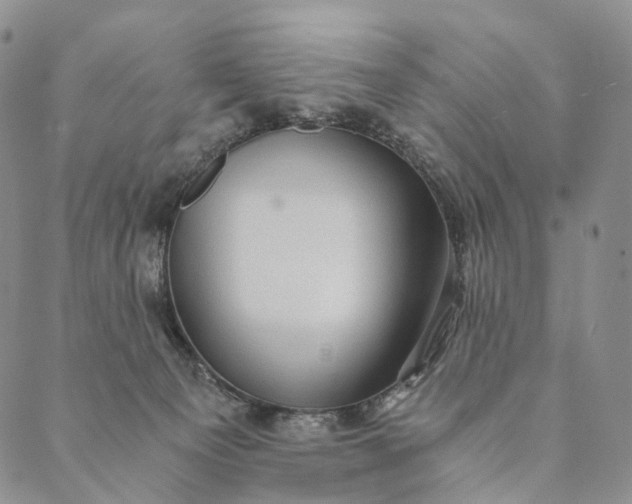 X0000089970129200707131432