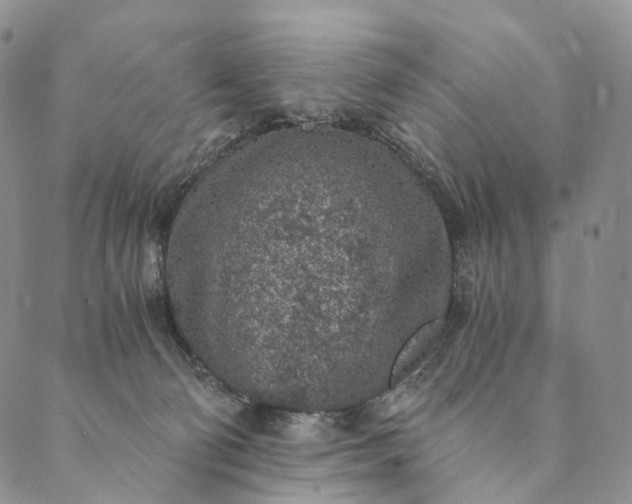 X0000089970130200707131432