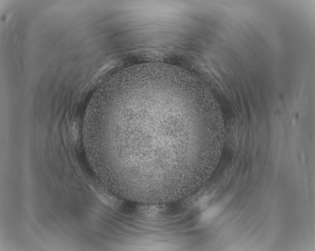 X0000089970131200707131432