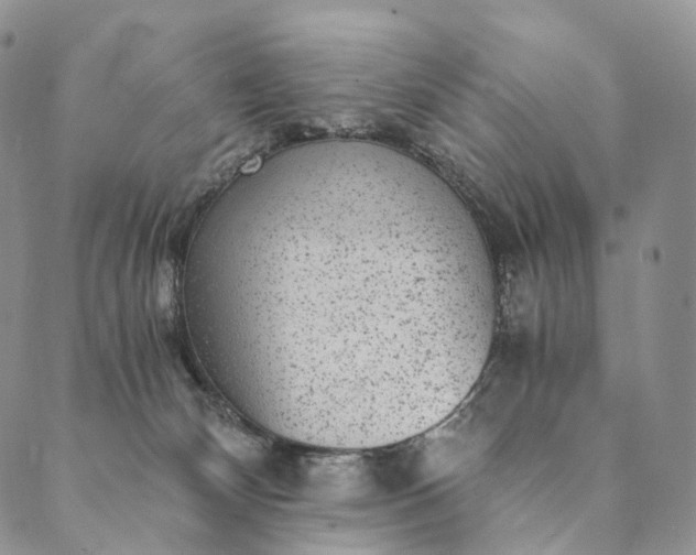 X0000089970132200707131432