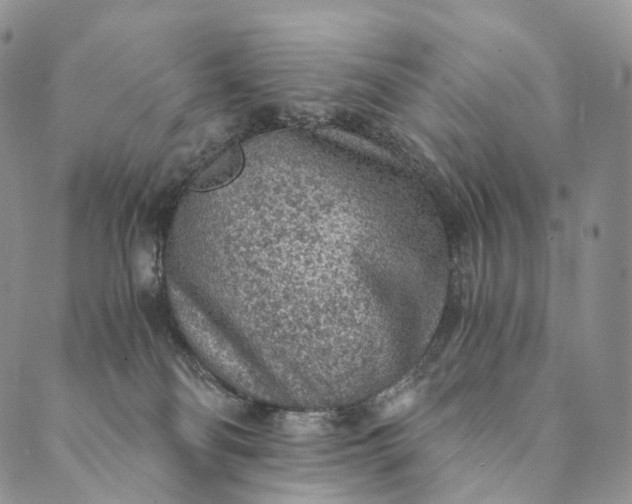 X0000089970134200707131432