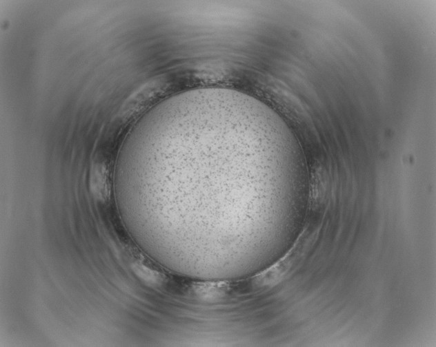 X0000089970136200707131432