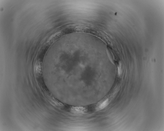 X0000089970137200707131432