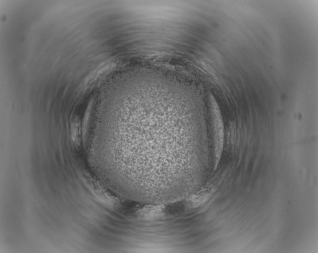 X0000089970138200707131432