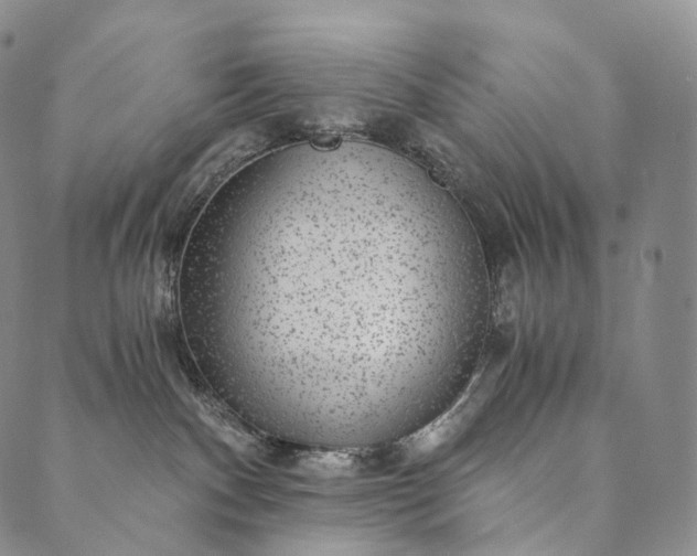 X0000089970140200707131432