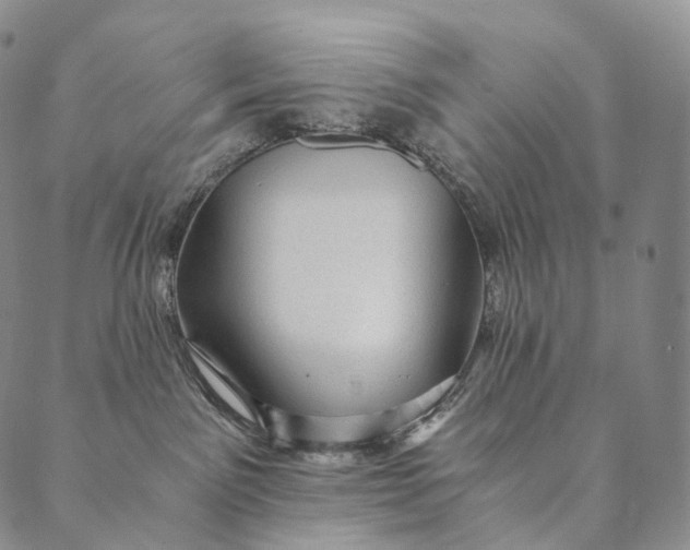 X0000089970141200707131432