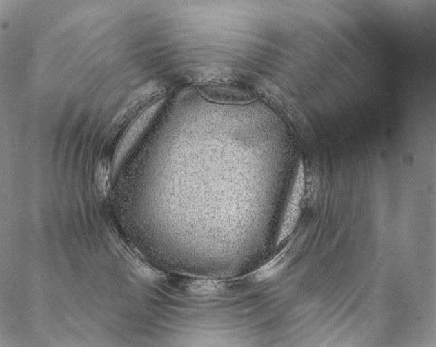 X0000089970142200707131432