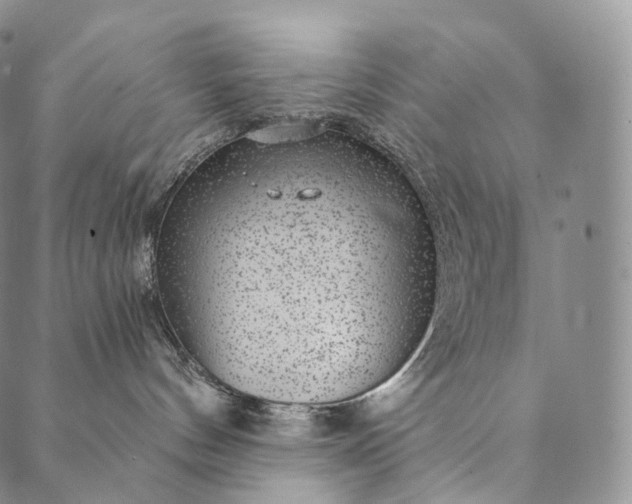 X0000089970144200707131432