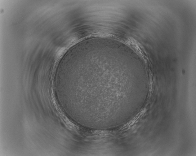 X0000089970145200707131431