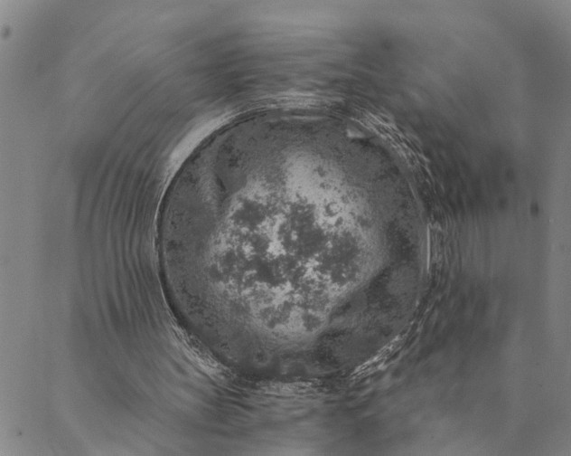 X0000089970147200707131431