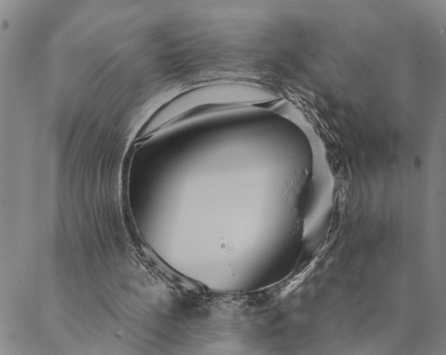 X0000089970148200707131431