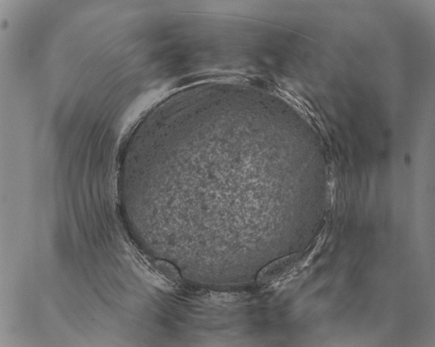 X0000089970149200707131431