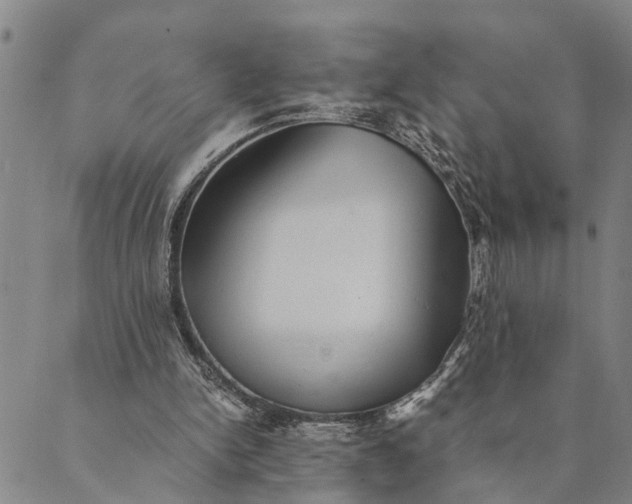 X0000089970150200707131431