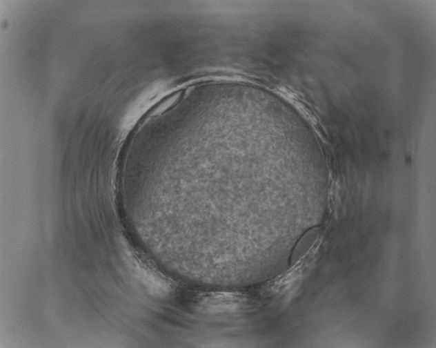 X0000089970151200707131431