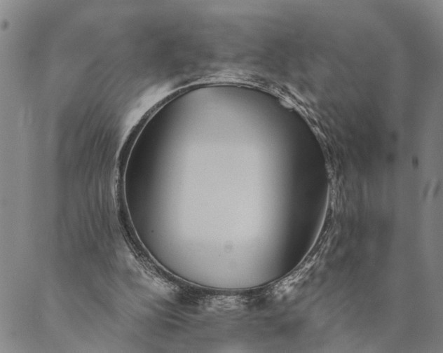 X0000089970152200707131431