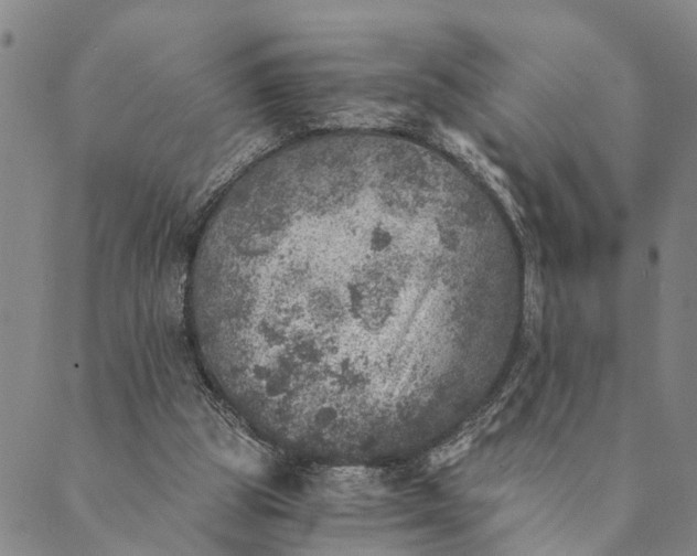 X0000089970153200707131431