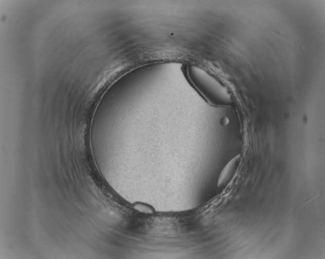 X0000089970154200707131431