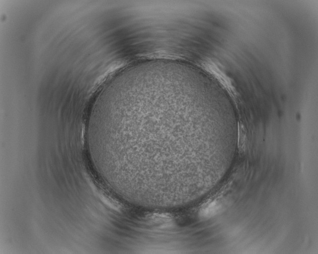 X0000089970157200707131431