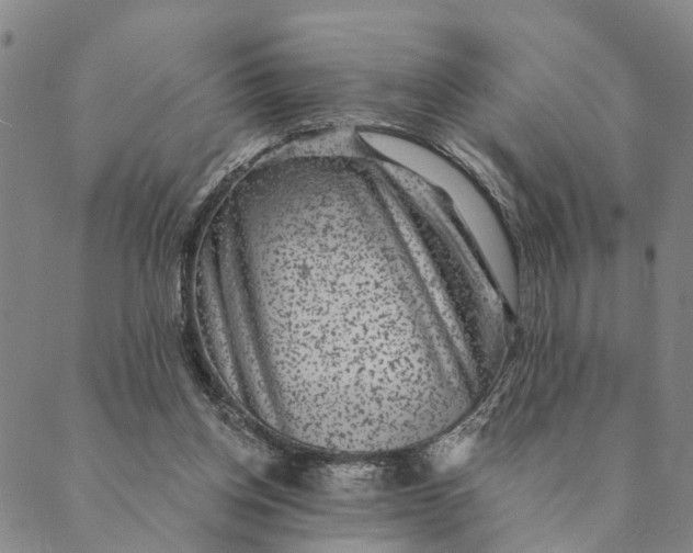 X0000089970158200707131431