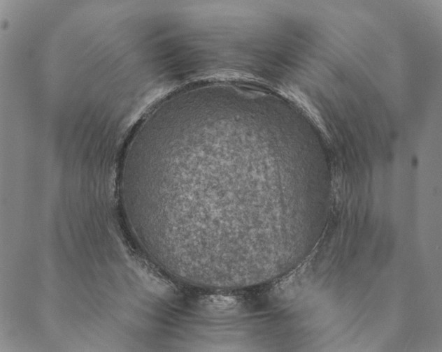 X0000089970159200707131431