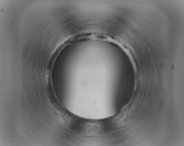 X0000089970160200707131431