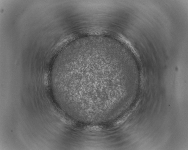 X0000089970161200707131431