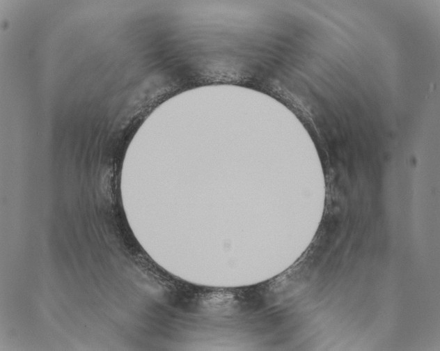 X0000089970162200707131431