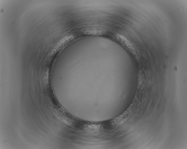 X0000089970163200707131431