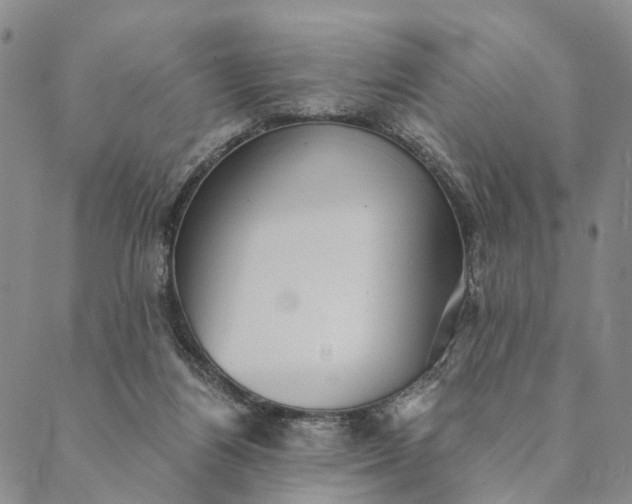 X0000089970164200707131431