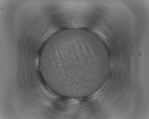 X0000089970166200707131432