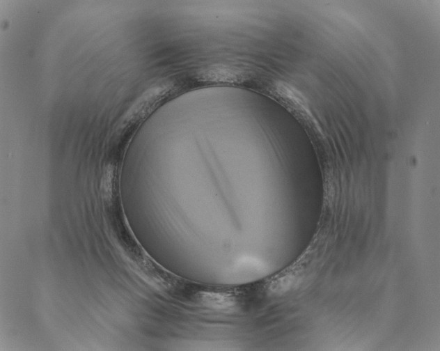 X0000089970167200707131432