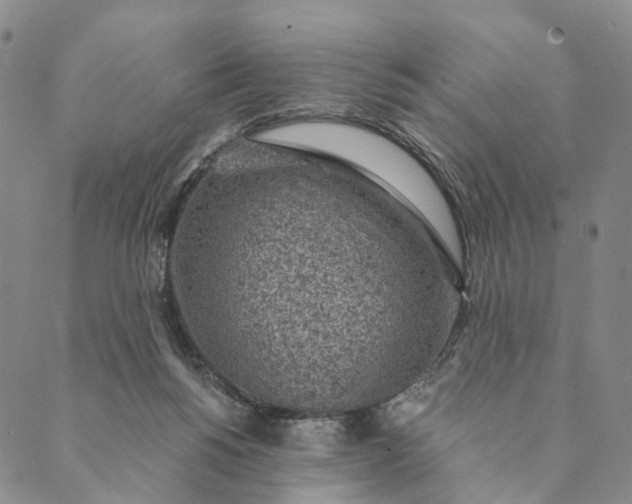 X0000089970168200707131432