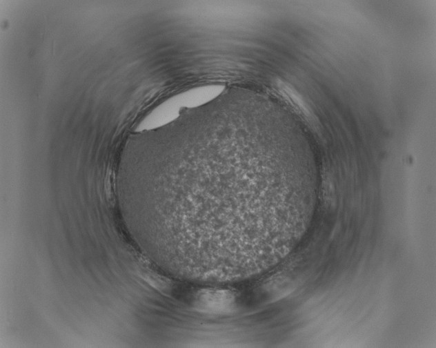 X0000089970169200707131432