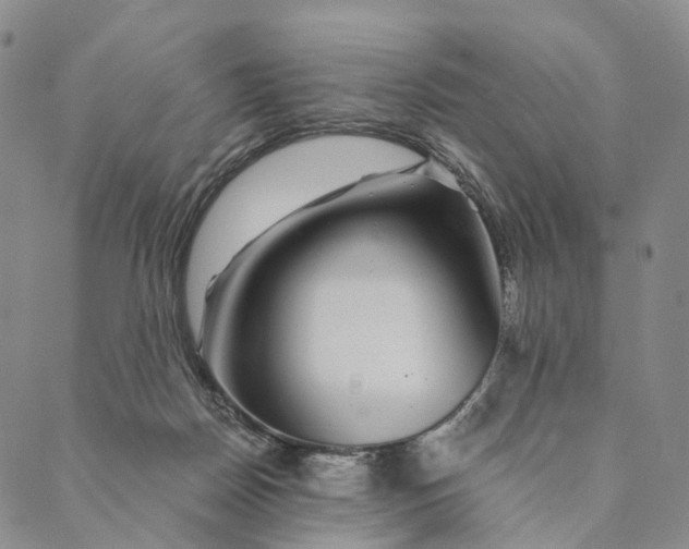 X0000089970170200707131432