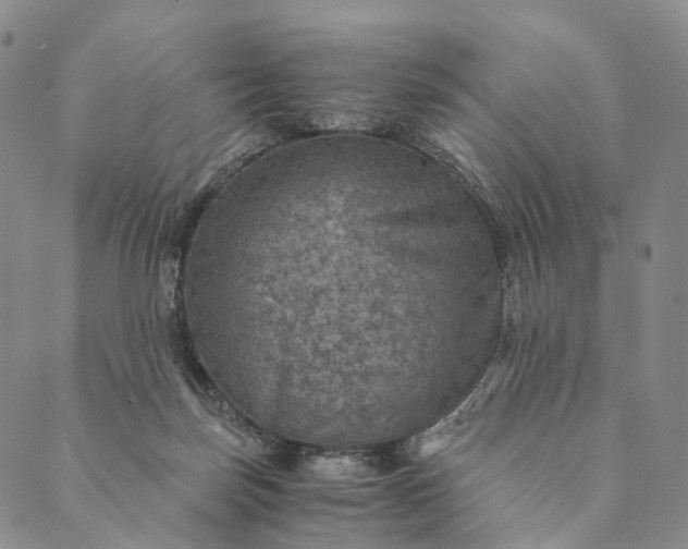 X0000089970171200707131432