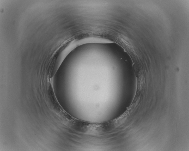 X0000089970172200707131432